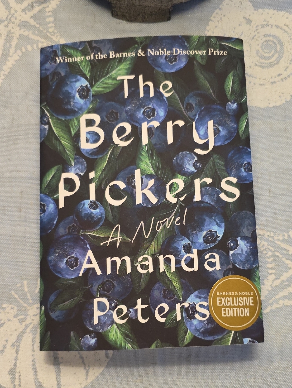 Barnes & Noble The Berry Pickers — Blue and Green Cover